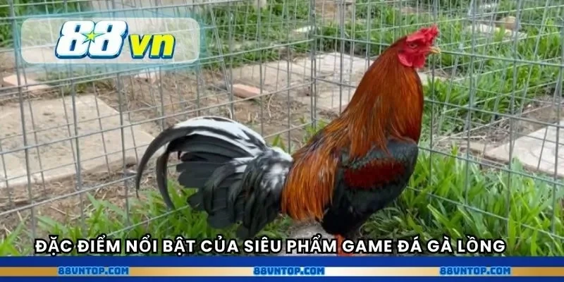 Đặc điểm nổi bật của siêu phẩm game đá gà lồng