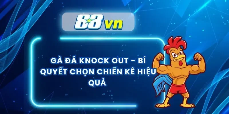 Gà Đá Knock Out