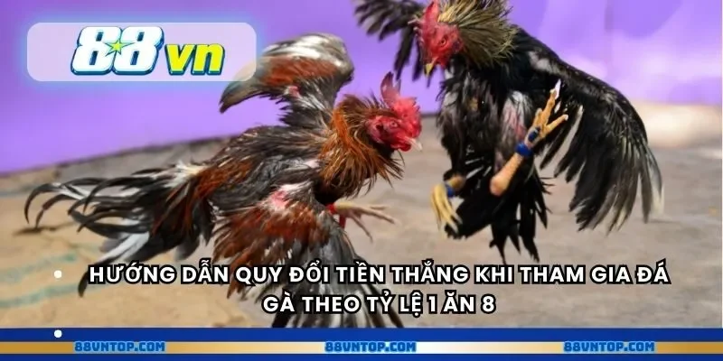 Hướng dẫn quy đổi tiền thắng khi tham gia đá gà theo tỷ lệ 1 ăn 8