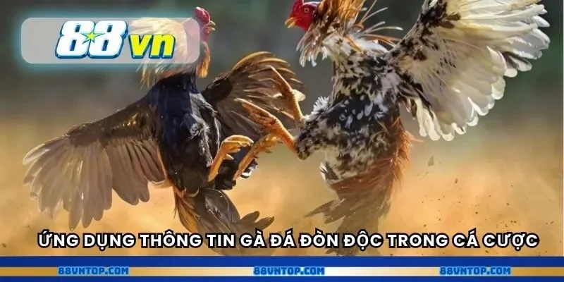 Ứng dụng thông tin gà đá đòn độc trong cá cược